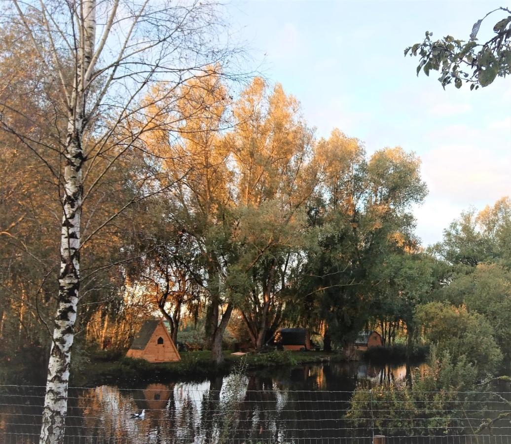George's lakeside wooden tipi Hotel Clare Buitenkant foto